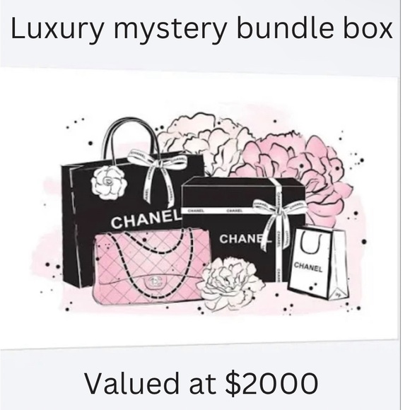 CHANEL Handbags - Luxury Mystery Gift Valued $2000